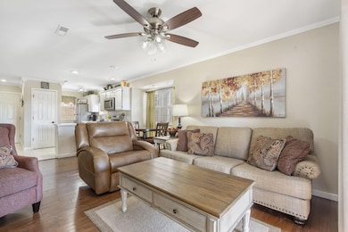 13-web-or-mls-DSC07533