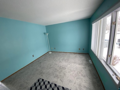 Brand New Carpet