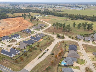 Drone / aerial view featuring a rural view