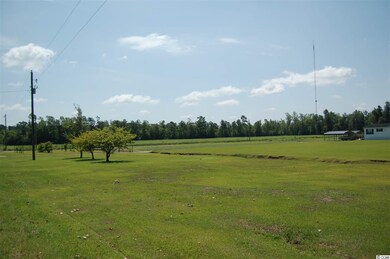 2262 Hughes Gasque Rd, Aynor, SC 29511 - photo 4