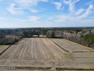 The back field