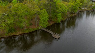 100 Harbors End Dr, Saluda, SC 29138 - photo 3