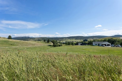 3908 Twisted Oak Rd, Sturgis, SD 57785 - photo 5