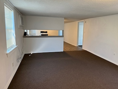 10604 County Road 1020, Burleson, TX 76028 - photo 2