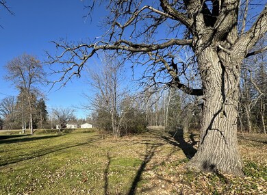 TBD 302xx 480th St, Palisade, MN 56469 - photo 5