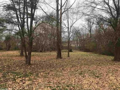 Lot 013 Riverland, Heber Springs, AR 72543 - photo 2