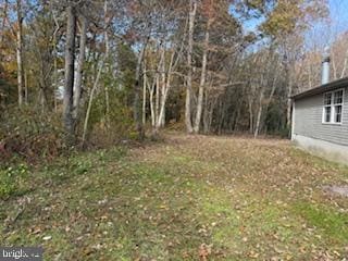 12969 Russell Rd, Bridgeville, DE 19933 - photo 3