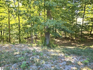 0013 Heather Ridge Trail, Beulah, MI 49617 - photo 6