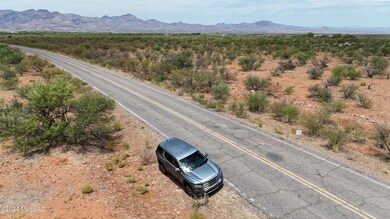 DJI_20240621114126_0060_D_378CJ