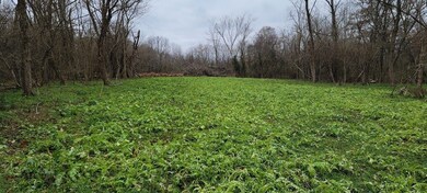 N County Rd 225 W, Petersburg, IN 47567 - photo 6