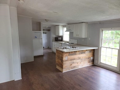 1573 Blakely Rd, Waterloo, SC 29384 - photo 4