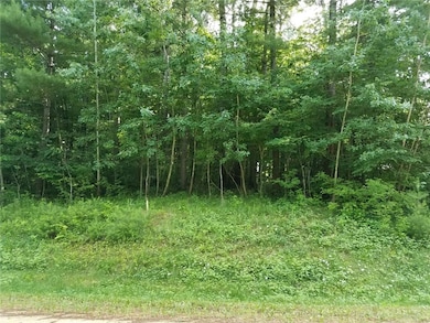 Lot 35 297th Street St, Eau Galle, WI 54737 - photo 2