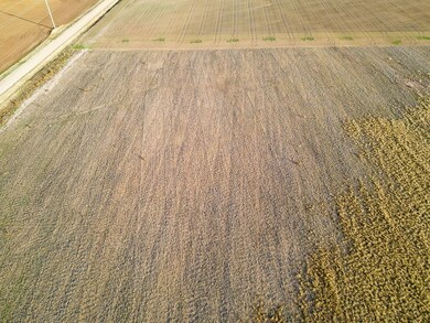 00000 S 311th St W, Garden Plain, KS 67050 - photo 4