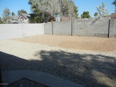 backyard2