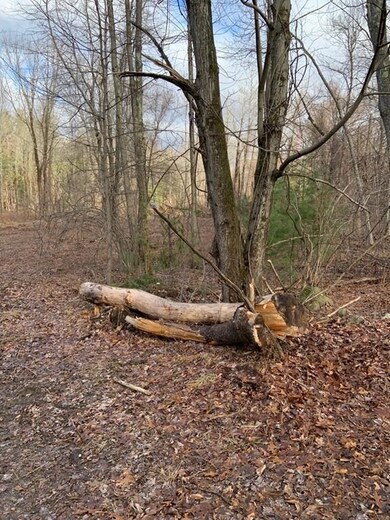 2 Mendon Rd, Sutton, MA 01590 - photo 7