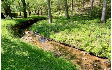 769 Flat Branch Rd, Ellijay, GA 30540 - photo 3