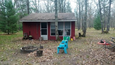 3138 S Woodin Dr, Baldwin, MI 49304 - photo 2
