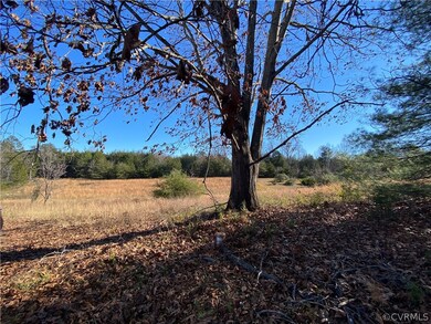 7883 Ellisville Dr, Louisa, VA 23093 - photo 3