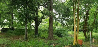 3822 County Road 424, Alvin, TX 77511 - photo 3