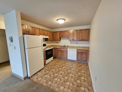 486 Nashua St unit 217, Milford, NH 03055 - photo 3