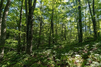 Lot 6 E Ridge Rd, Cashiers, NC 28717 - photo 5