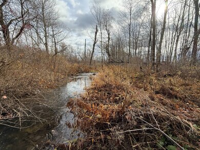 WP01 Caswell Rd, Freeville, NY 13068 - photo 7