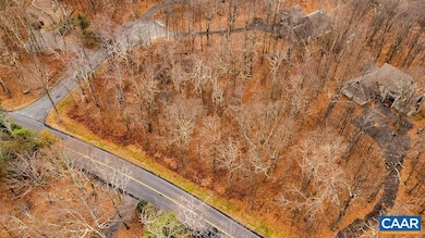 559 Laurel Springs Dr unit PRYOR CAMP II 24, Roseland, VA 22967 - photo 4