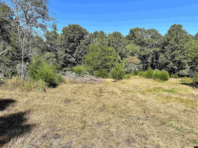 Lot 38 Bluffview Place, Flippin, AR 72634 - photo 5