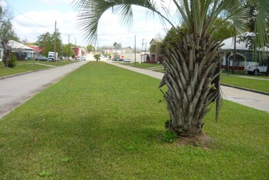 982 5th St, Florala, AL 36442 - photo 3