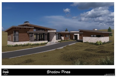 10631 Shadow Pines Rd unit 8, Parker, CO 80138 - photo 3