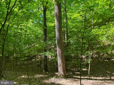 0 Harris Creek Rd unit VAAB2000634, Charlottesville, VA 22902 - photo 7