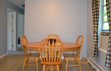 76 New Hampshire Dr, Webster, NH 03303 - photo 6