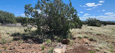 12 E Crookton Rd, Ash Fork, AZ 86320 - photo 6