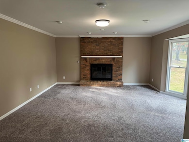 3549 William And Mary Rd, Hoover, AL 35216 - photo 2