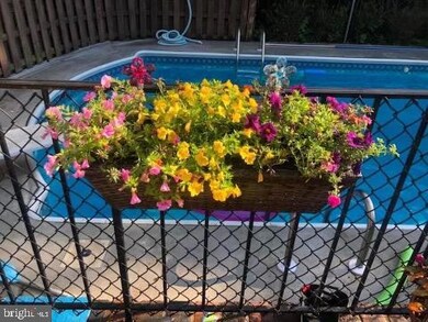 505 Bellview Ave, Winchester, VA 22601 - photo 3