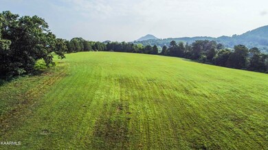 DJI_0348_1