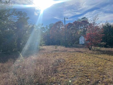 1563 Oakridge Rd, Gresham, SC 29546 - photo 4