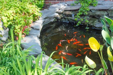 Fish pond in professional landscape just outside c