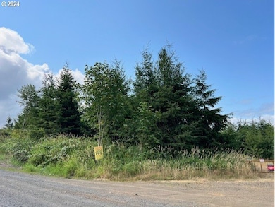 0 Lindberg Rd, Clatskanie, OR 97016 - photo 3