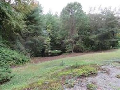 123 Newton St, Weston, MA 02493 - photo 2