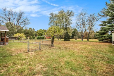 024_img_1230_539