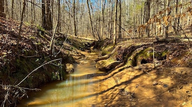 0 Harley Rucker Rd unit 19785832, Elberton, GA 30635 - photo 3