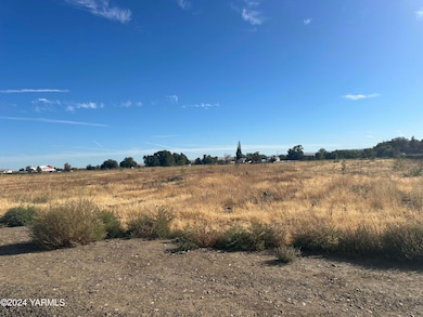 NKA Branch Rd, Toppenish, WA 98948 - photo 3