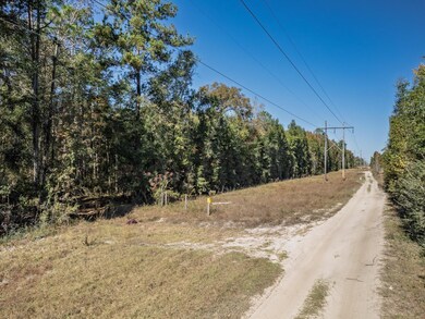 9412 Ranchero Rd, Tallahassee, FL 32305 - photo 4