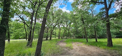 10092 County Road 2440, Royse City, TX 75189 - photo 5