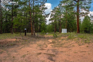 29507 N Highway 67, Woodland Park, CO 80863 - photo 2