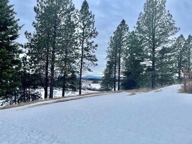 Looking towards Blacktail Mtn