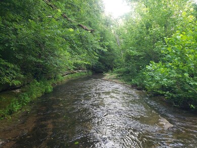 76 AC. Masters Rd, Cookeville, TN 38506 - photo 5