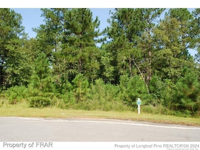 222 Broadlake (639) Ln, Spring Lake, NC 28390 - photo 2