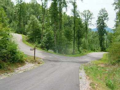 Lot 61 Hickory Nut Trail, Sylva, NC 28779 - photo 5